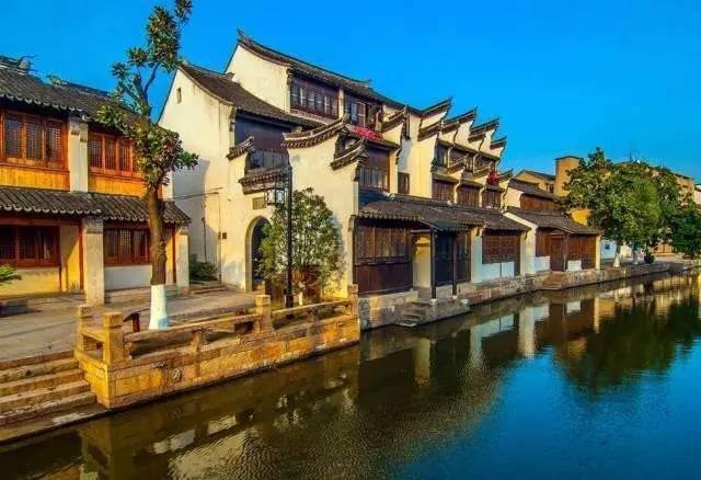 小僵尸射飞鸟